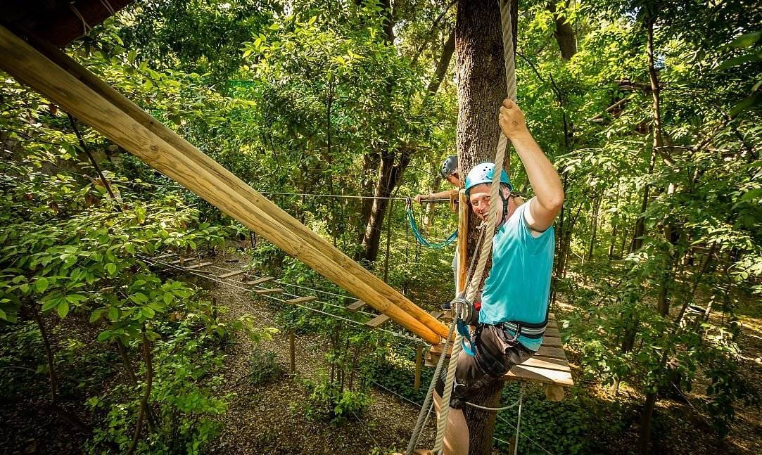 Activité accrobranche dans l'Hérault