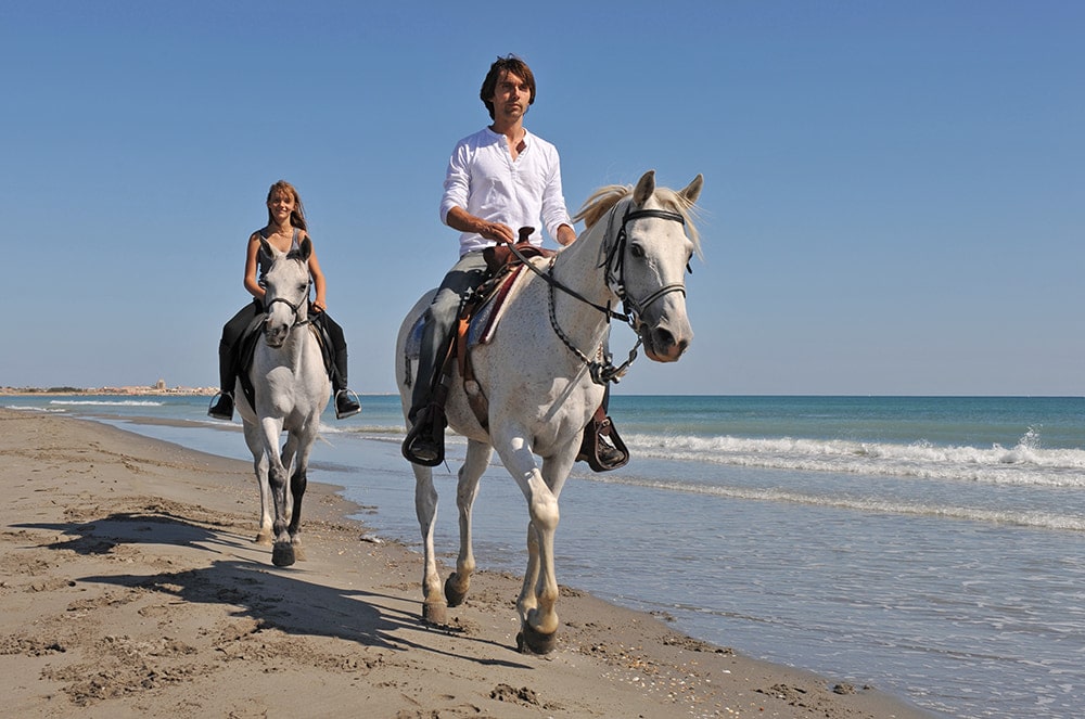 balade à cheval en Camargue